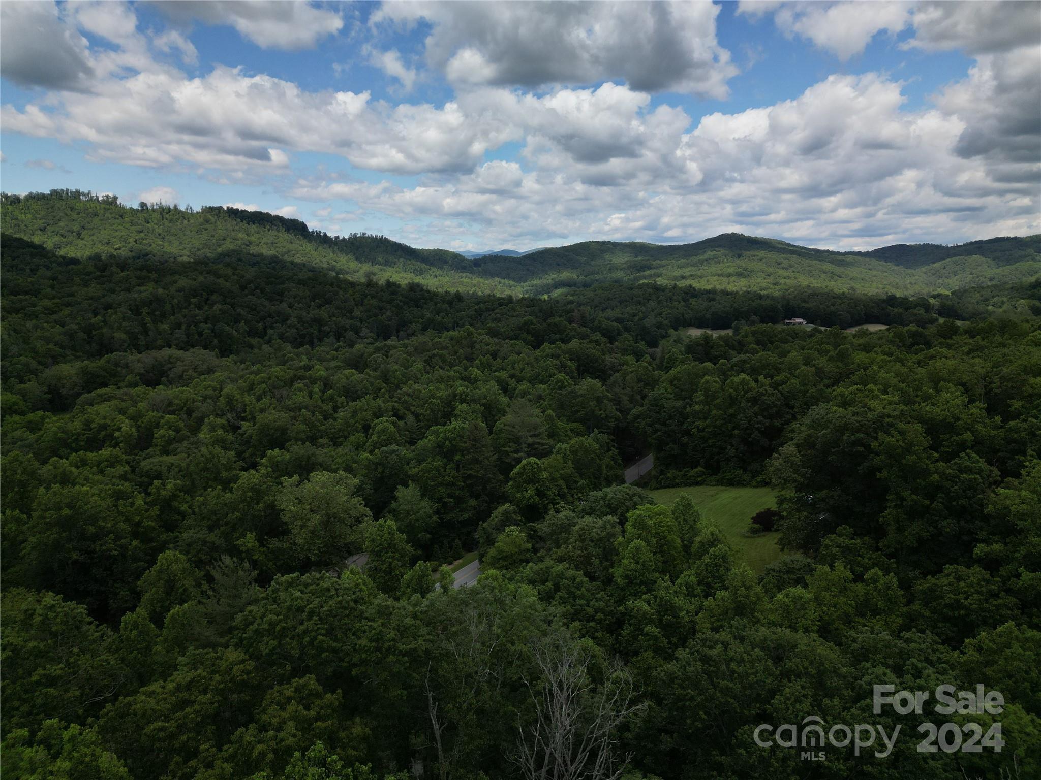 85 Sandy Flat Mountain Road Fletcher, NC 28732 - Photo 27 of 31