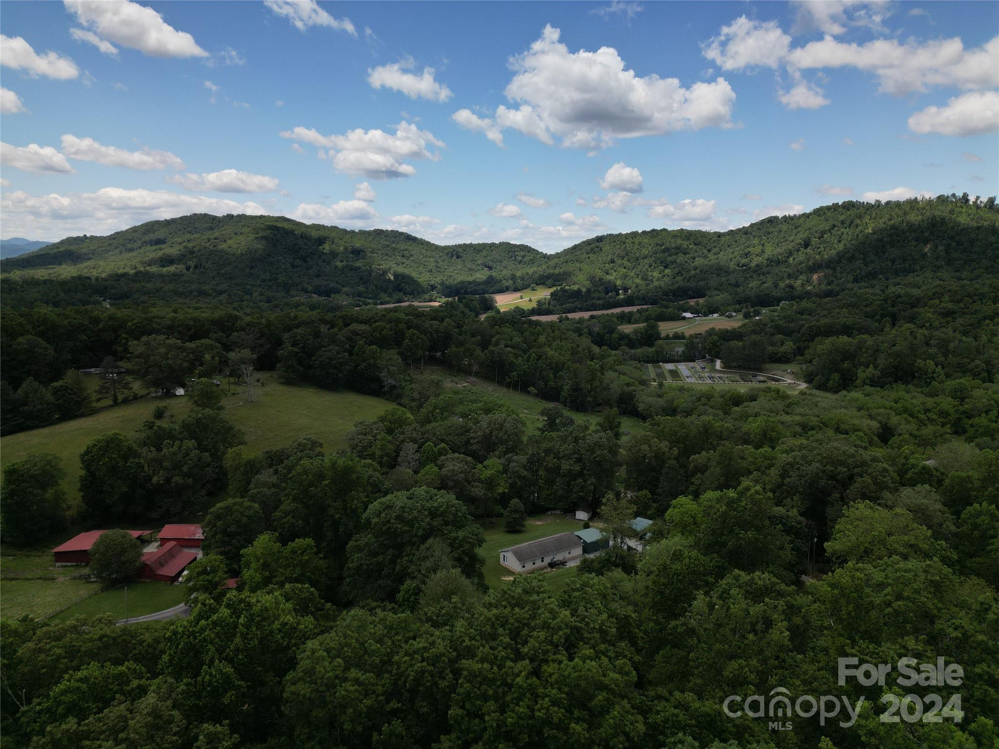85 Sandy Flat Mountain Road Fletcher, NC 28732 - Photo 28 of 31
