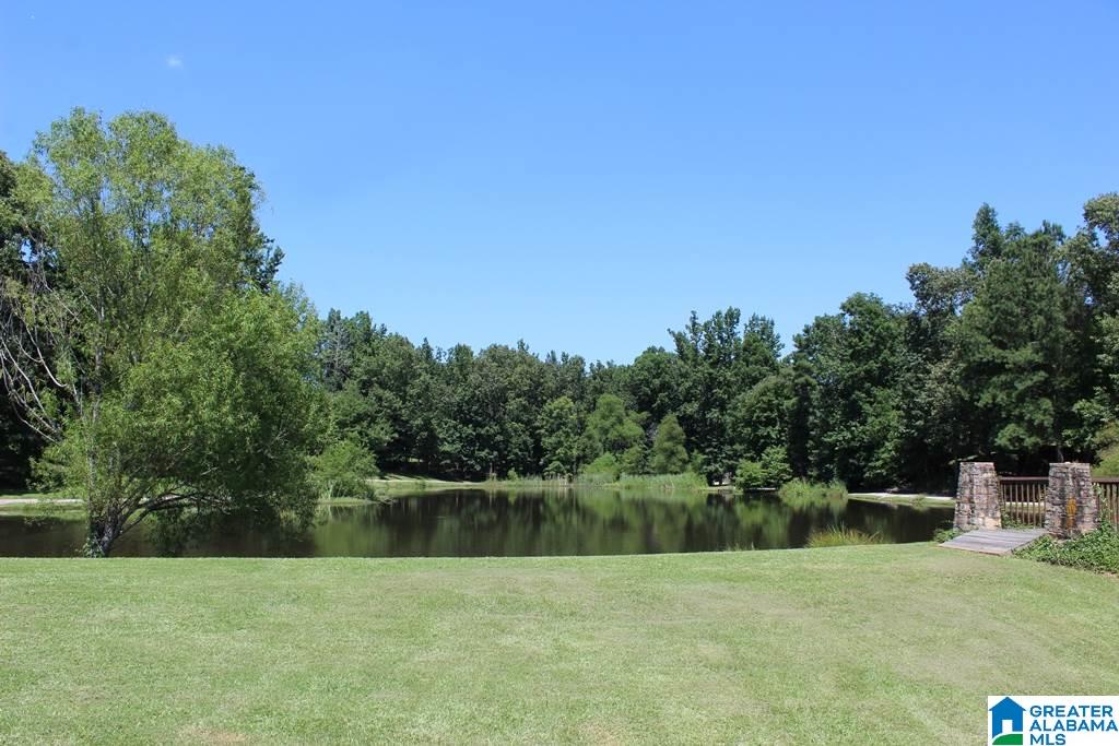 2680 Hawthorne Lake Road Helena, AL 35022 - Photo 45 of 50