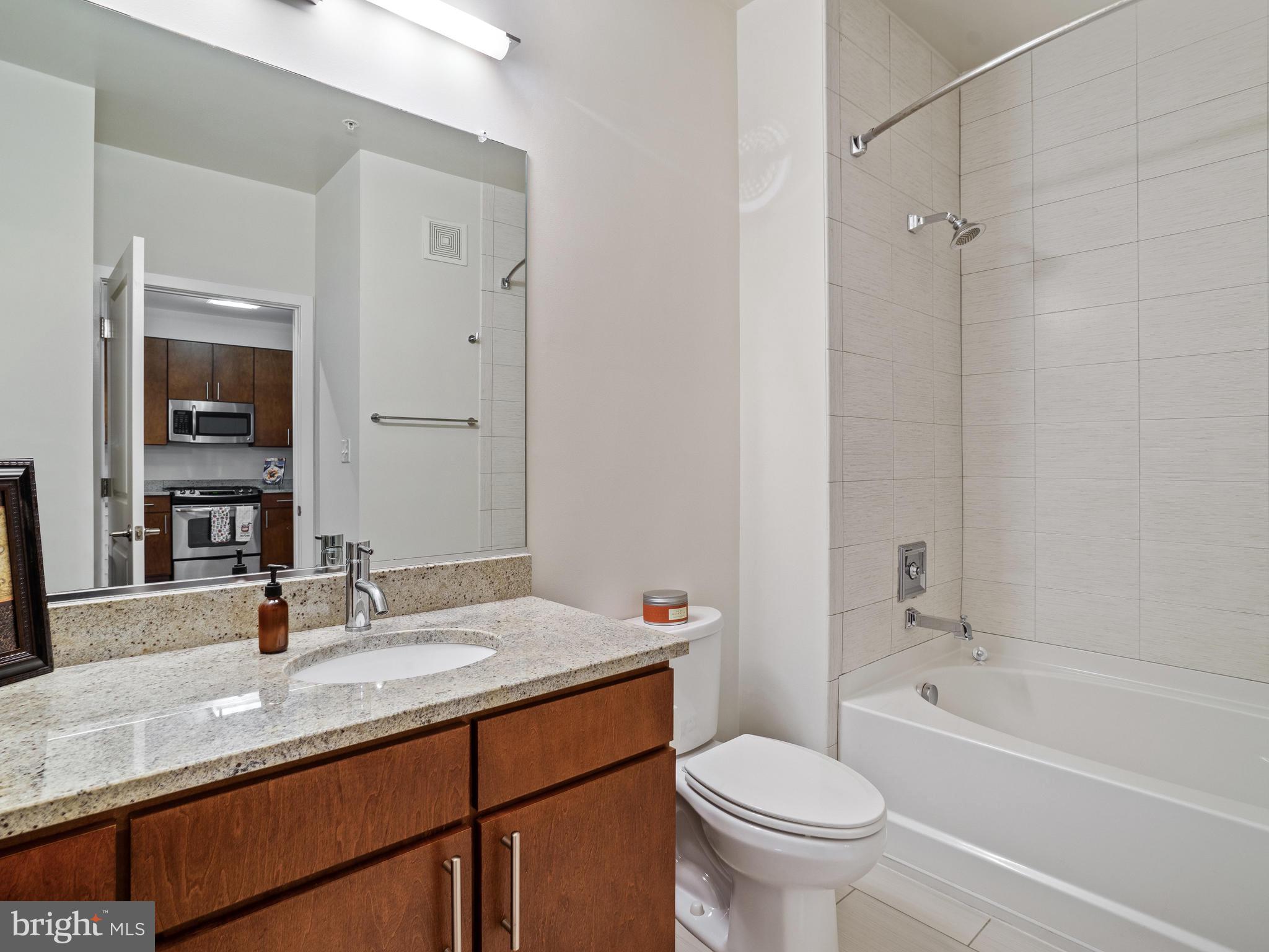 8005 13th Street, Unit 304 Silver Spring, MD 20910 - Photo 16 of 31 Shower in Tub!