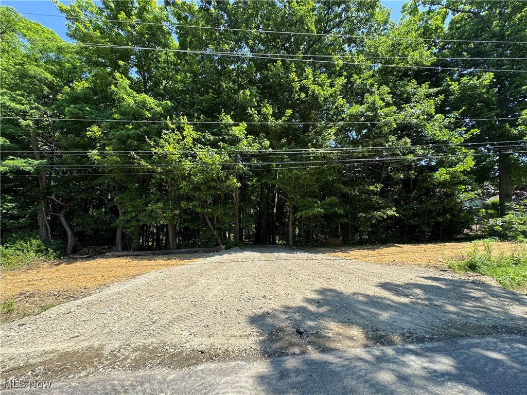 3 Wood Road Madison, OH 44057 - Photo 2 of 13