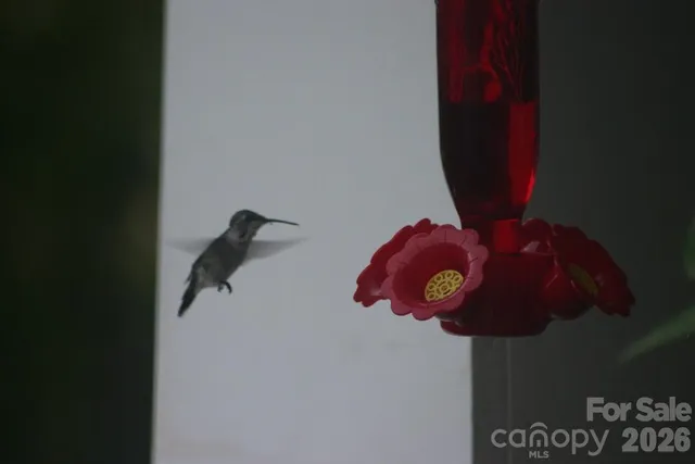 $300,000 | 16464 Redstone Mountain Lane, Charlotte, NC 28277