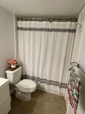 a bathroom with a toilet a sink and curtain