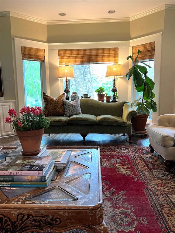 10200 North County Road Frisco, TX 75033 - Photo 16 of 25 a living room with furniture flowerpot and a potted plant