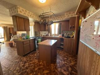 5820 South Skare Road Rochelle, IL 61068 - Photo 2 of 15 a kitchen with sink cabinets and window