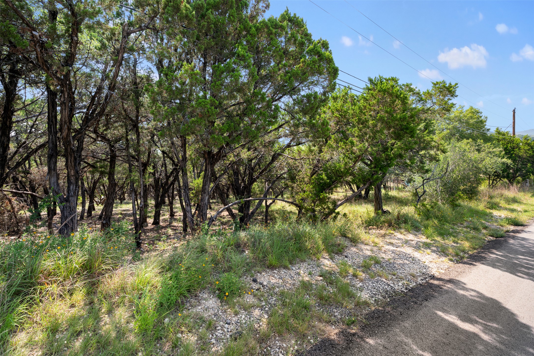 21105 Ridgeview Road Lago Vista, TX 78645 - Photo 18 of 34 Mature trees and lush greenery offer a serene and private natural setting.