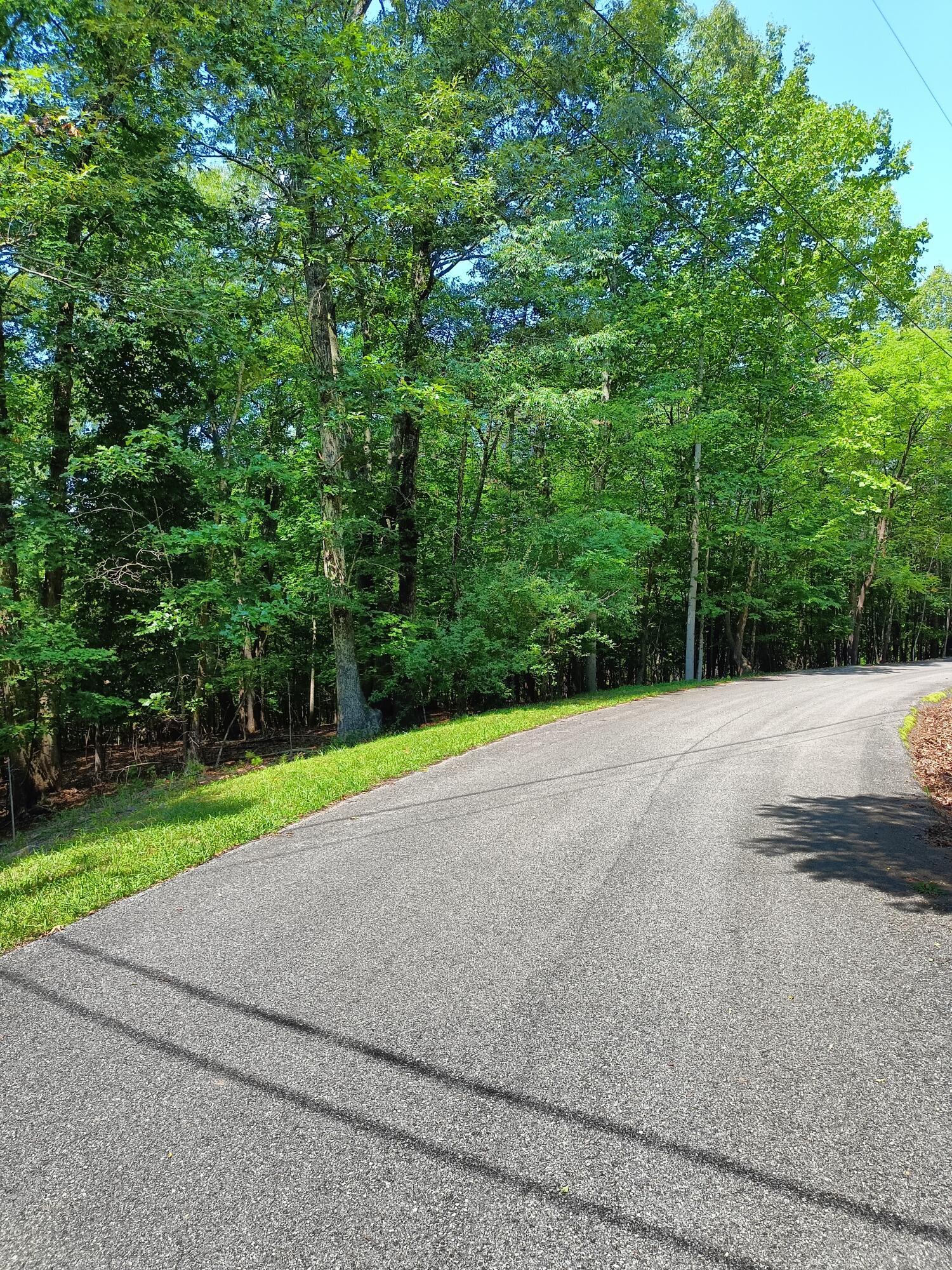 Lot 59 Old Barn Road Moneta, VA 24121 - Photo 1 of 14 a view of a park