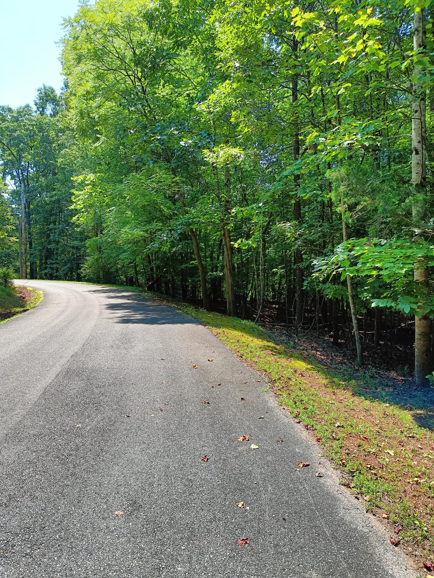 Lot 59 Old Barn Road Moneta, VA 24121 - Photo 2 of 14 a view of a backyard with a trees