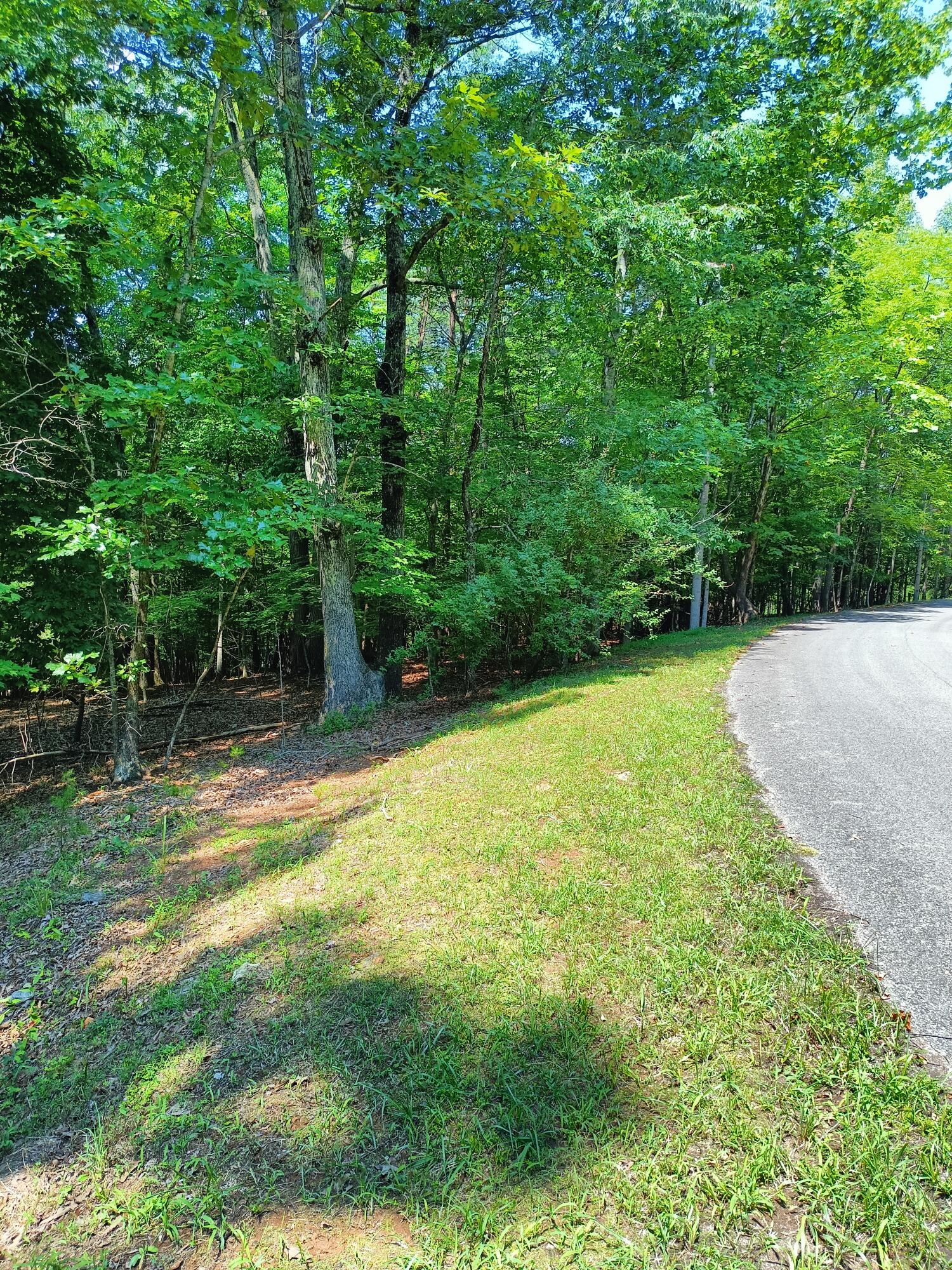 Lot 59 Old Barn Road Moneta, VA 24121 - Photo 3 of 14 a view of a backyard with a garden