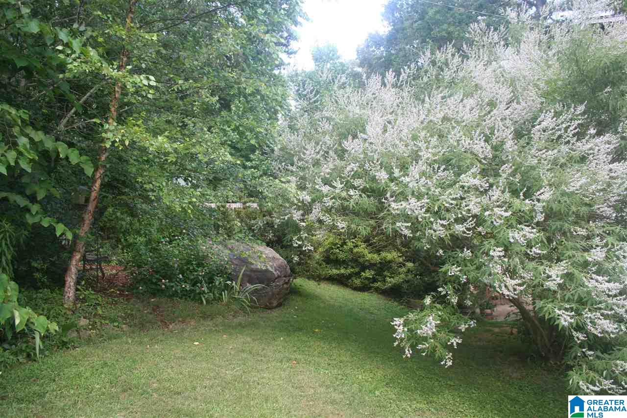 6654 Old Springville Road Pinson, AL 35126 - Photo 7 of 12