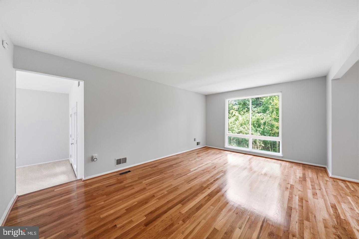 14317 Sturtevant Road Silver Spring, MD 20905 - Photo 4 of 55 Living Room