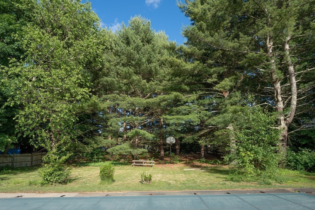 54 Chisholm Road Stoughton, MA 02072 - Photo 33 of 33 a view of a yard with a tree