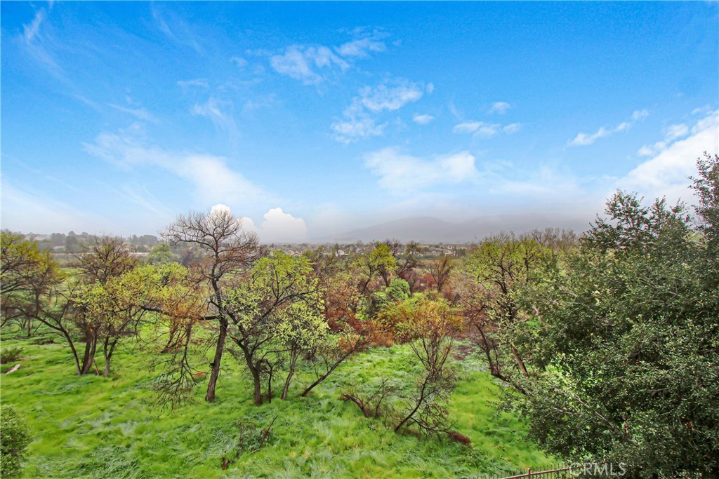 31293 Taylor Temecula, CA 92592 - Photo 20 of 23