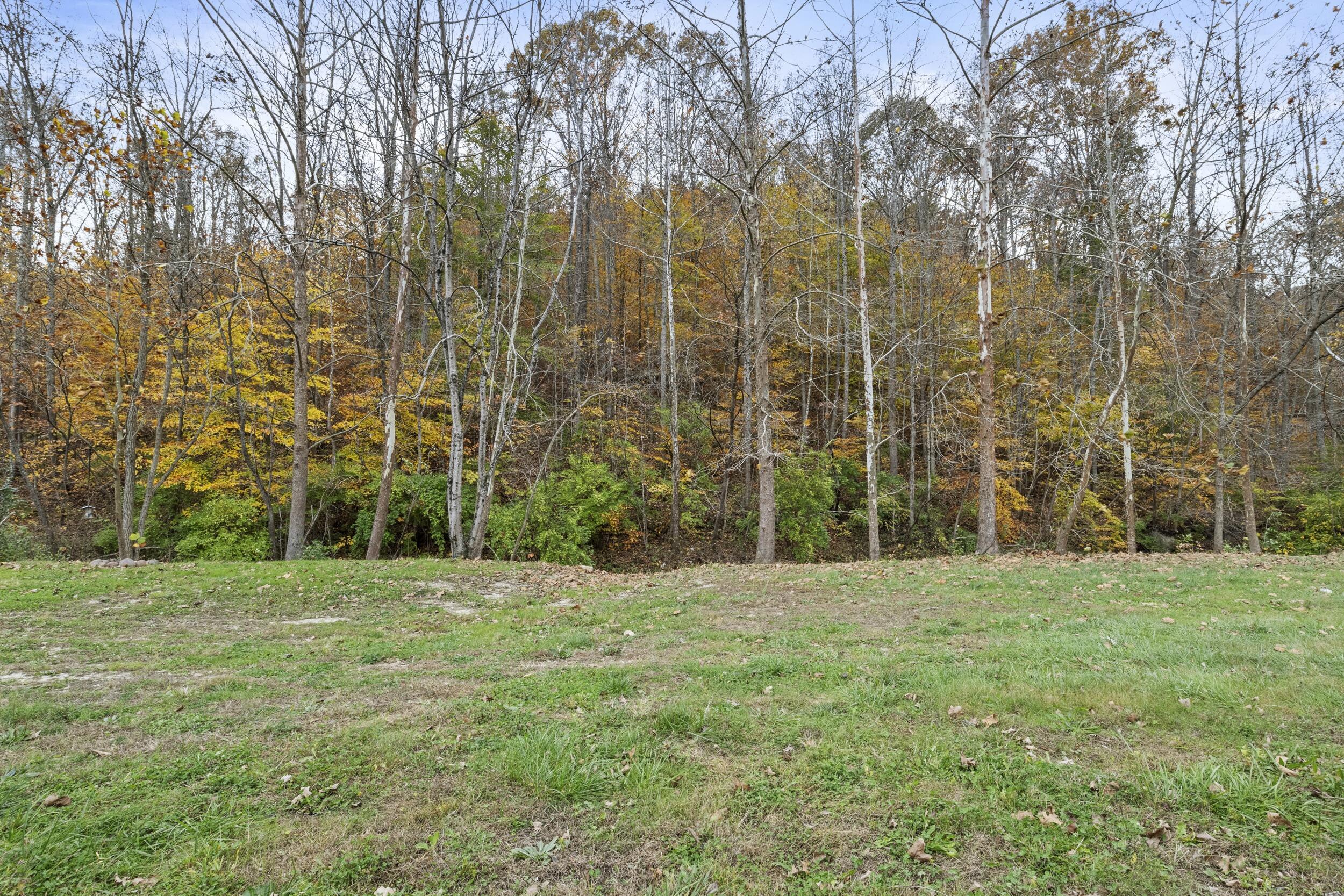 223 Sycamore Road Stanton, KY 40380 - Photo 30 of 44 30_img_6723