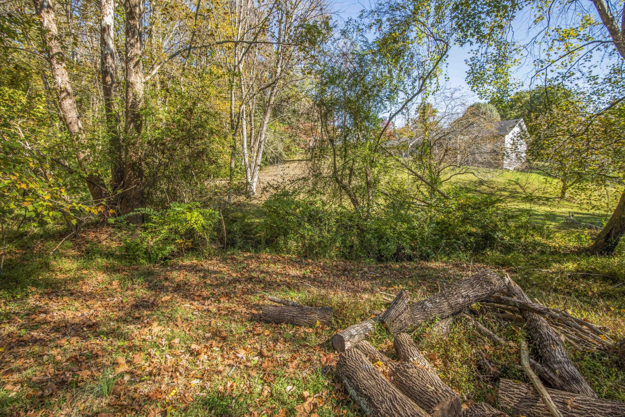 104 Telemann Lane Oak Ridge, TN 37830 - Photo 33 of 33 Gallery Image 33