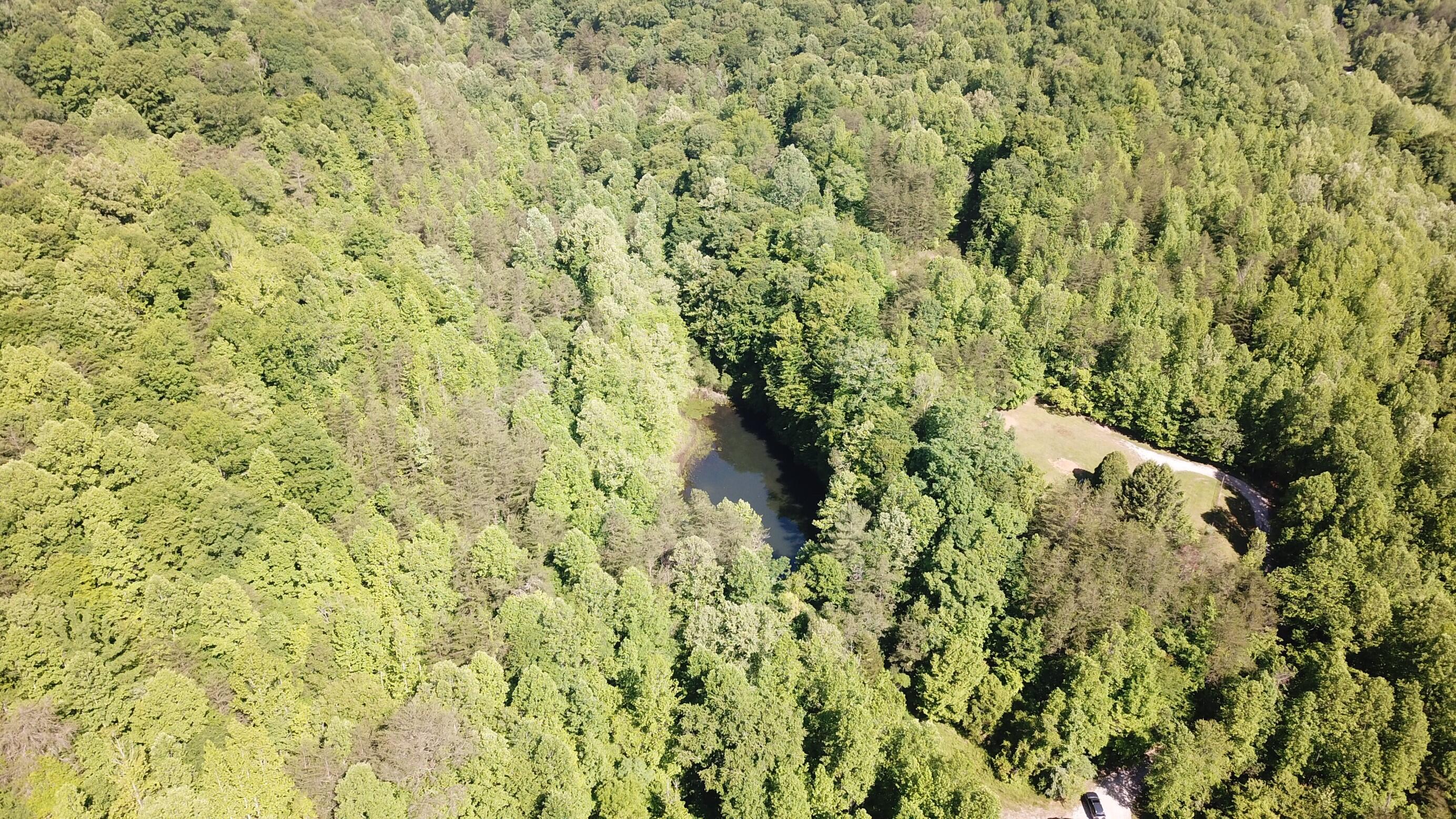 0 Emanuel Hollow Road Gray, KY 40734 - Photo 17 of 29 DJI_0007 (Custom)