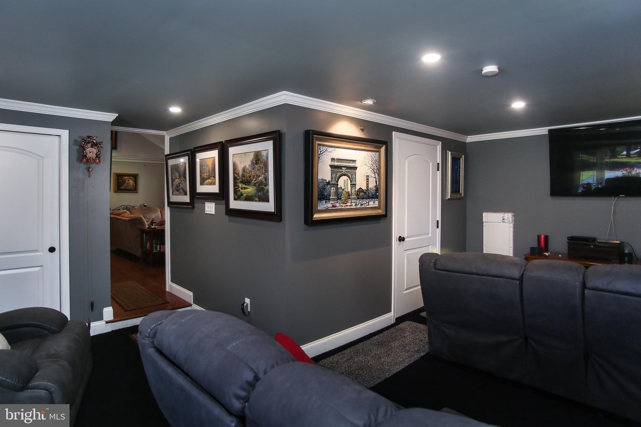 6771 Chapel Road New Hope, PA 18938 - Photo 11 of 27 3rd Bedroom/Theater Room
