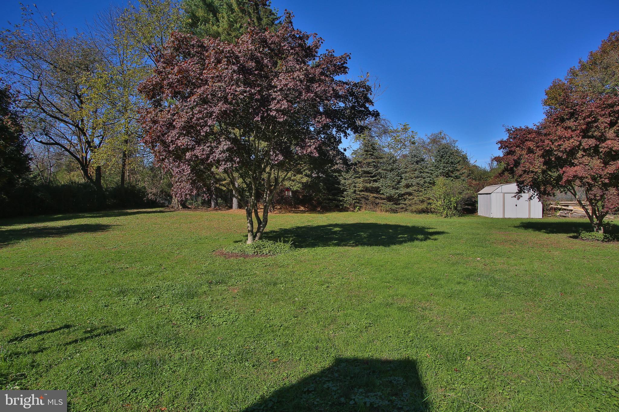 6771 Chapel Road New Hope, PA 18938 - Photo 3 of 27 Rear Yard