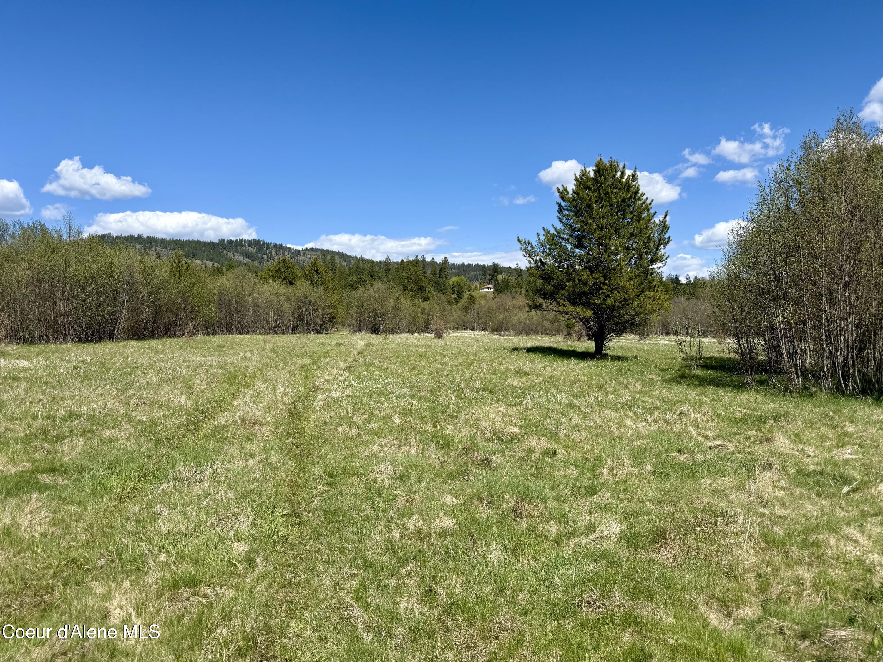 3216 Dufort Road Sagle, ID 83860 - Photo 83 of 99 IMG_1670