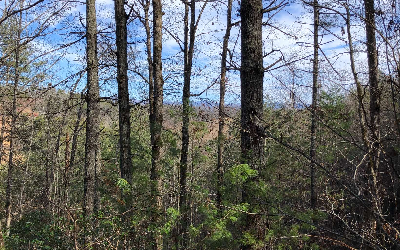 Cliff Raper Road Murphy, NC 28906 - Photo 21 of 24 Additional View