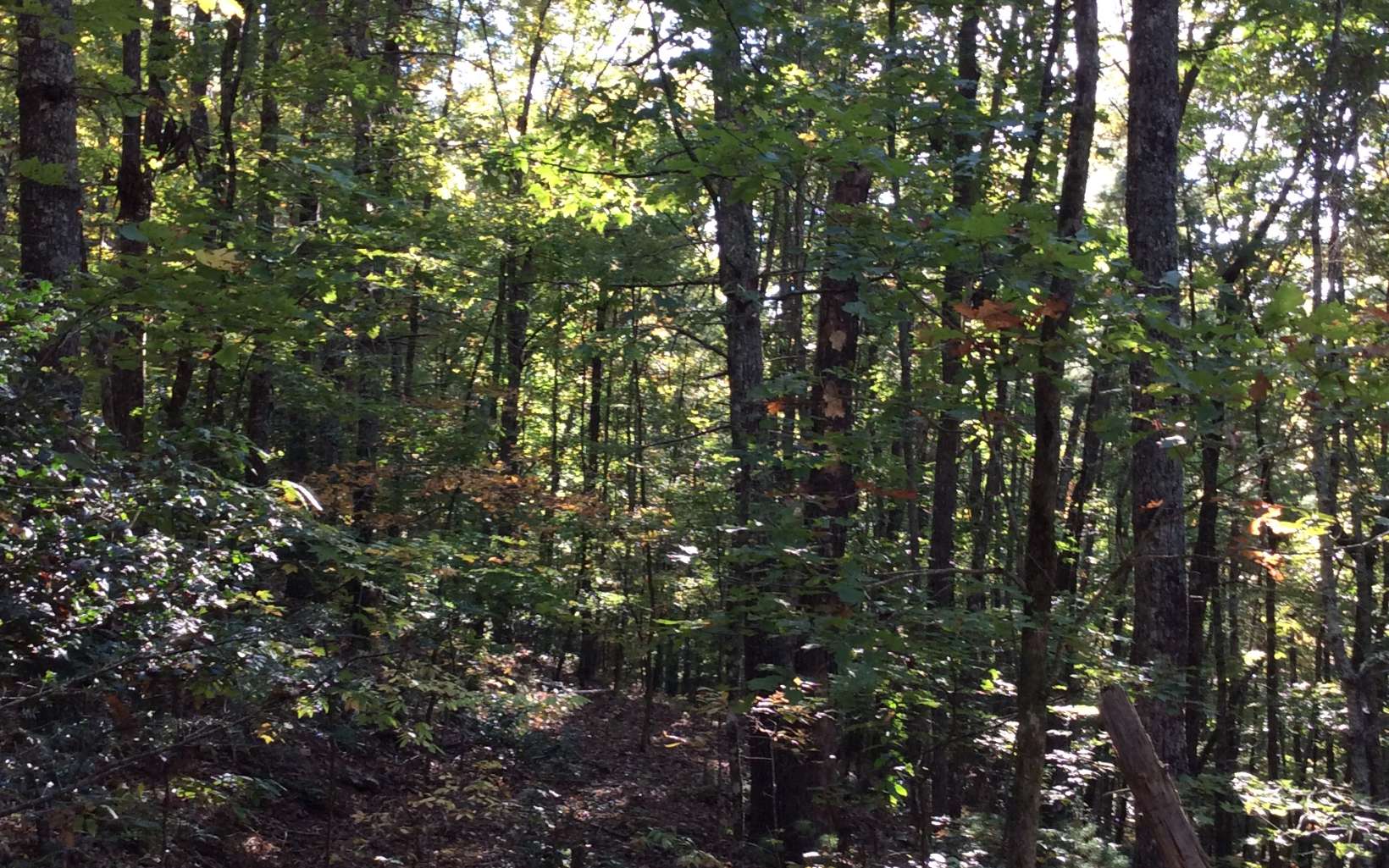 Cliff Raper Road Murphy, NC 28906 - Photo 3 of 24 Additional View