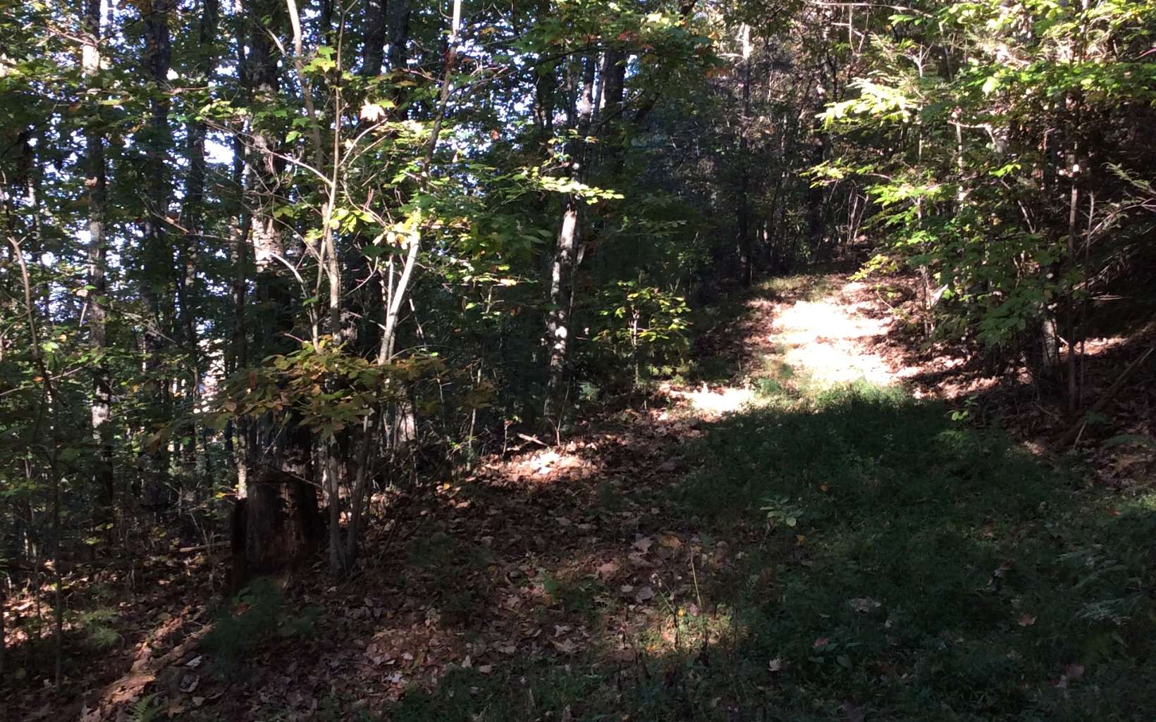 Cliff Raper Road Murphy, NC 28906 - Photo 4 of 24 Additional View