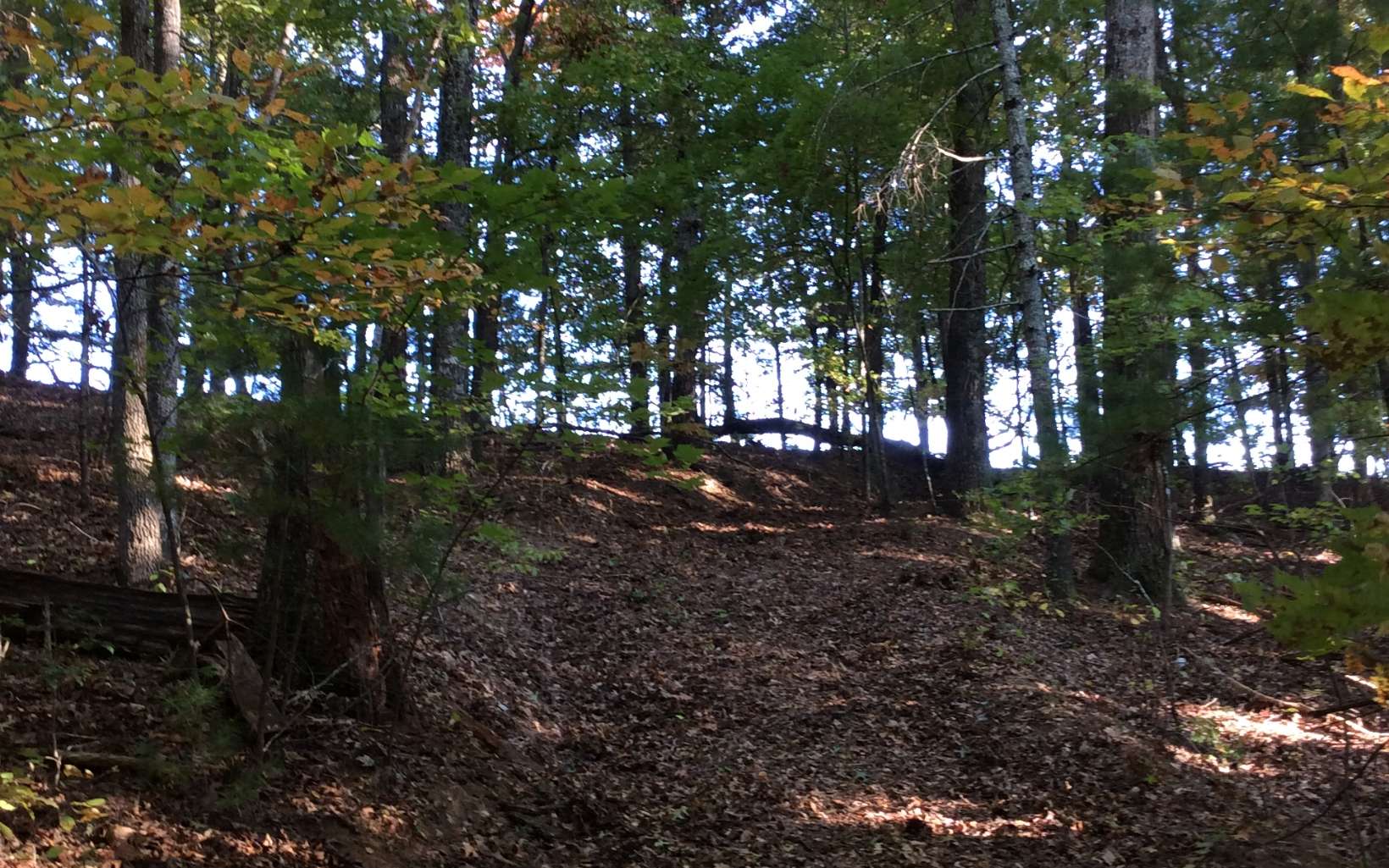 Cliff Raper Road Murphy, NC 28906 - Photo 8 of 24 Additional View