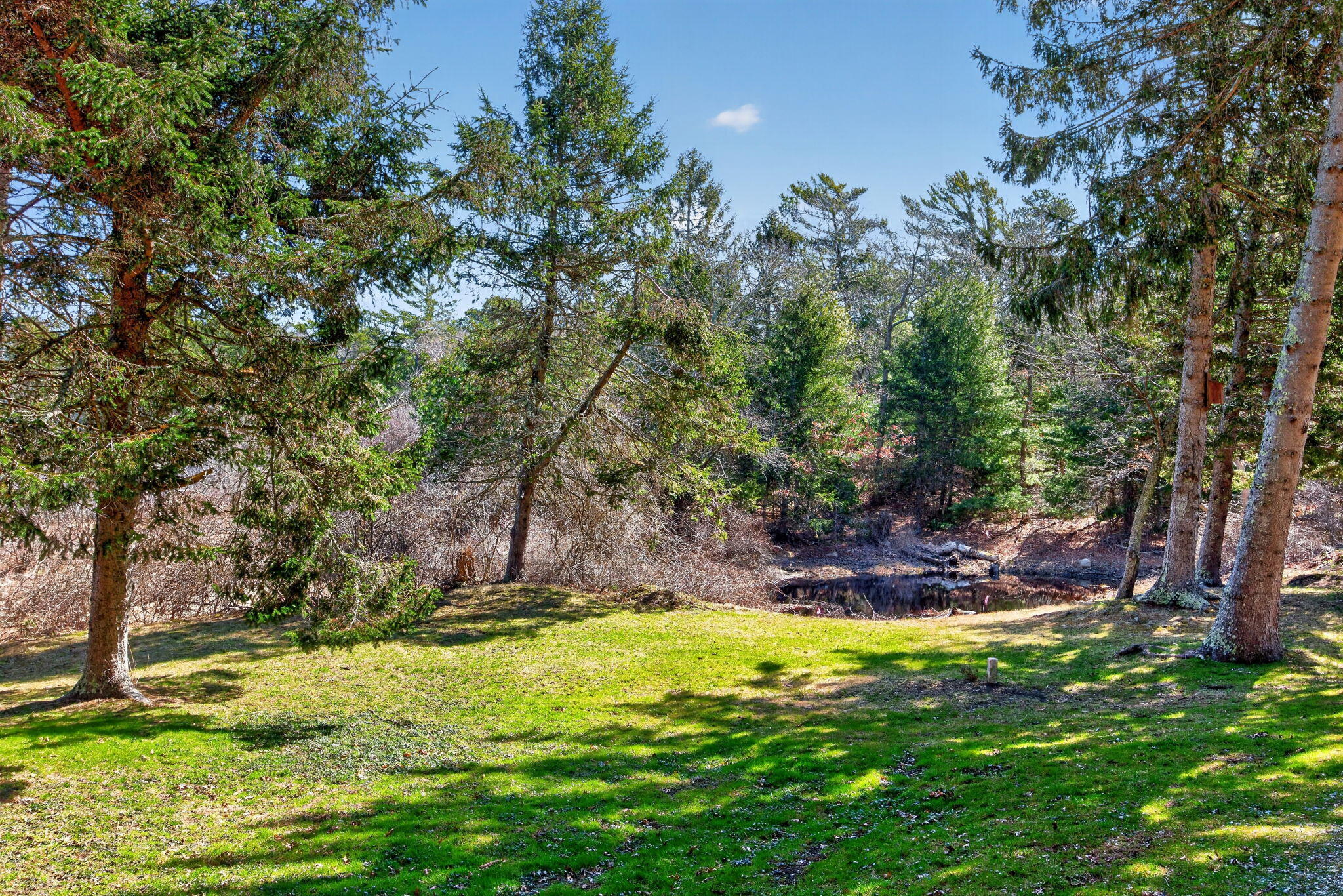 73 County Road Bourne, MA 02532 - Photo 62 of 91 a view of swimming pool with a yard