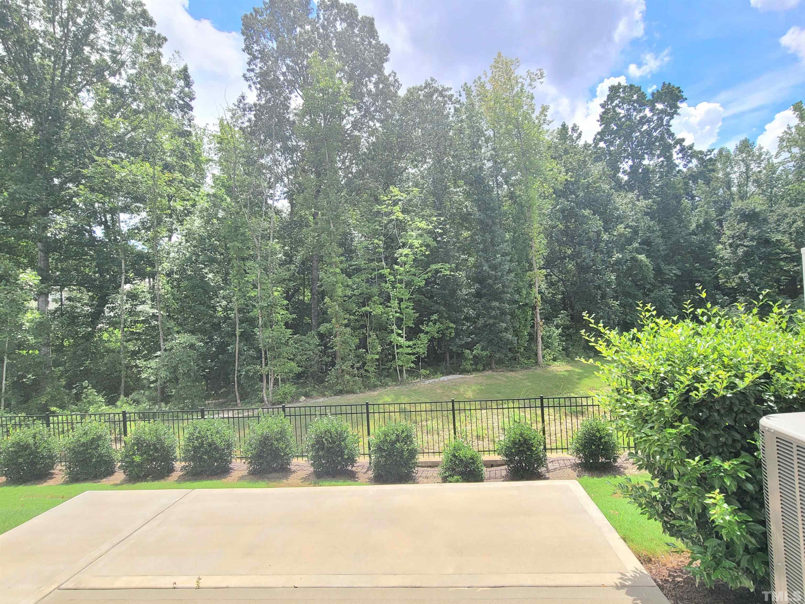 3616 Water Mist Lane Raleigh, NC 27604 - Photo 3 of 27