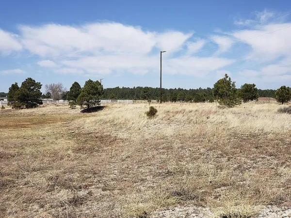 $225,000 | 7701 East Old Rte 66, Williams, AZ 86046