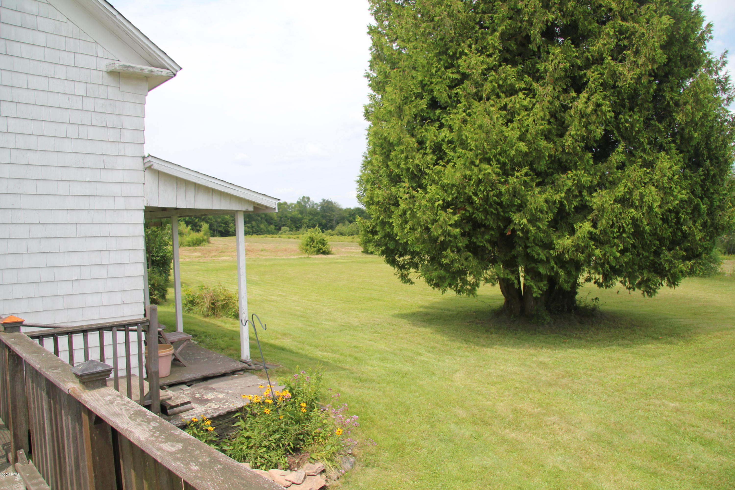 162 Rodenburg Road Equinunk, PA 18417 - Photo 12 of 31