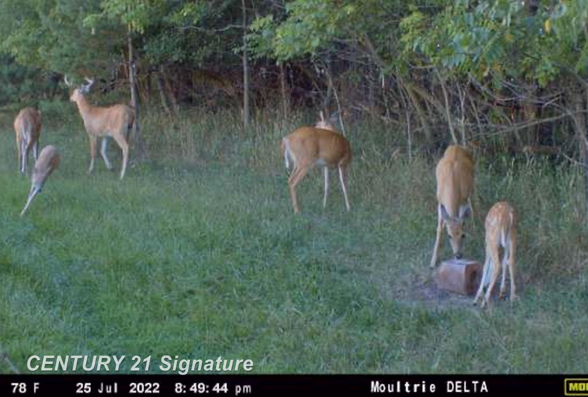 3175 South Meridian Road Merrill, MI 48637 - Photo 76 of 78