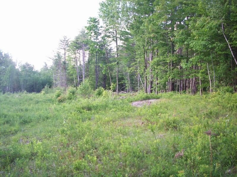 Lot 6-1 Benton Road North Haverhill, NH 03774 - Photo 2 of 6 Gallery Image 2