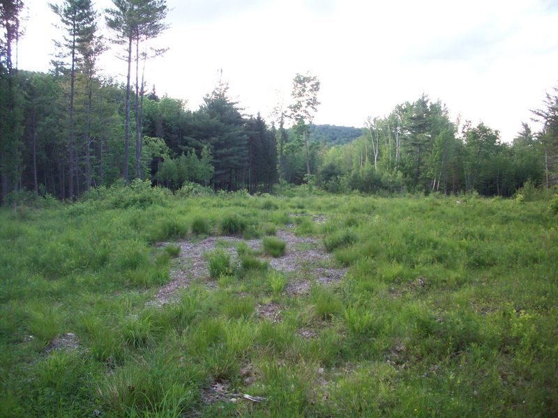 Lot 6-1 Benton Road North Haverhill, NH 03774 - Photo 3 of 6 Gallery Image 3