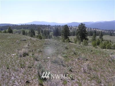 -tbd Neil Circle Road South Tonasket, WA 98855 - Photo 1 of 1