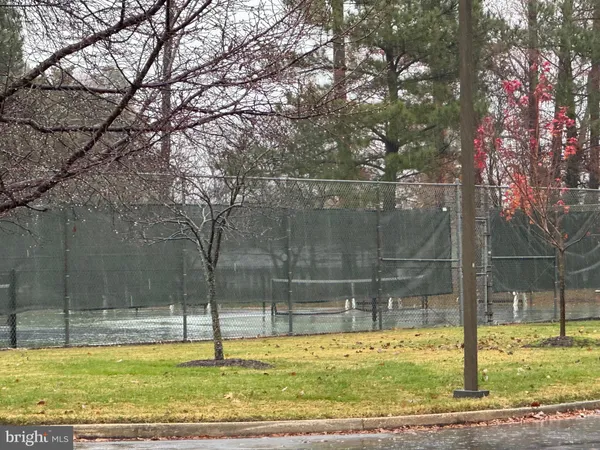 a view of a swimming pool with a yard
