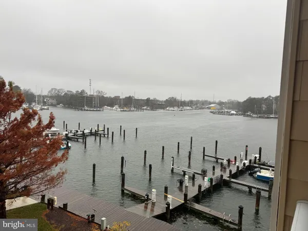 a view of a lake with boats and trees in the background