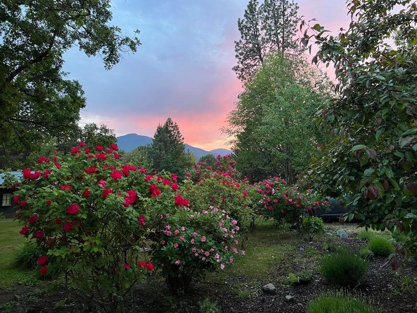 1399 Kubli Road Grants Pass, OR 97527 - Photo 29 of 39 20241029202214088551000000-o