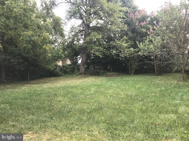2310 Kansas Avenue Silver Spring, MD 20910 - Photo 20 of 20 Back yard