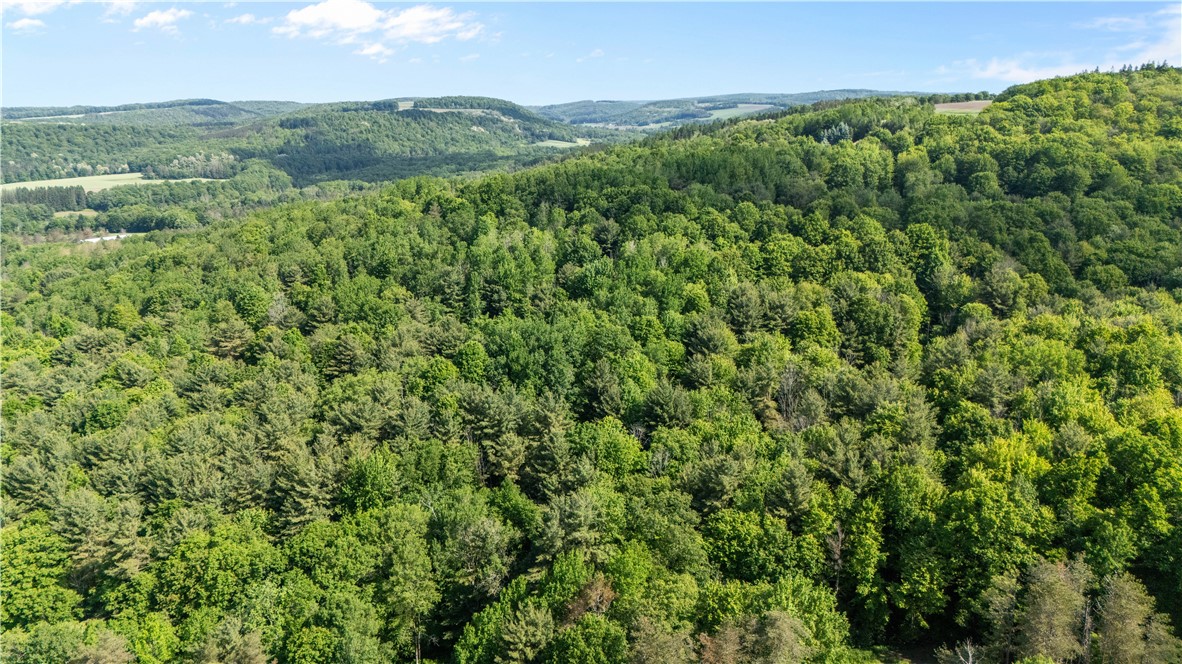 8471 Alpaugh Road Springwater, NY 14572 - Photo 4 of 9 Ariel