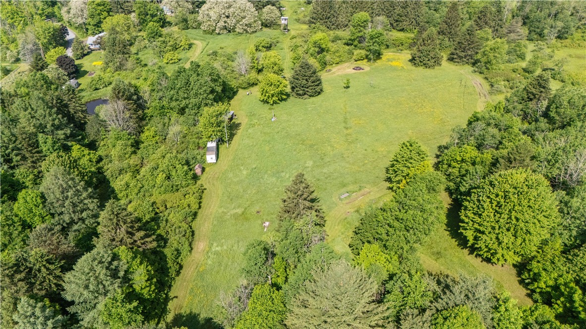 8471 Alpaugh Road Springwater, NY 14572 - Photo 5 of 9 ariel