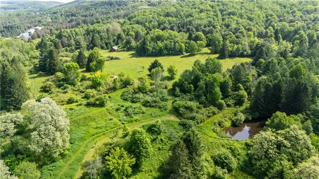 $184,999 | 8471 Alpaugh Road, Springwater, NY 14572