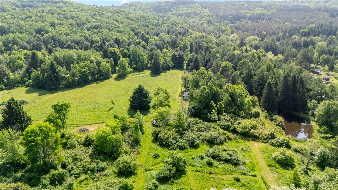 8471 Alpaugh Road Springwater, NY 14572 - Photo 8 of 9 ariel view