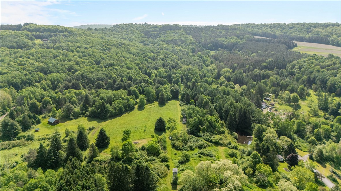 8471 Alpaugh Road Springwater, NY 14572 - Photo 9 of 9 ariel view