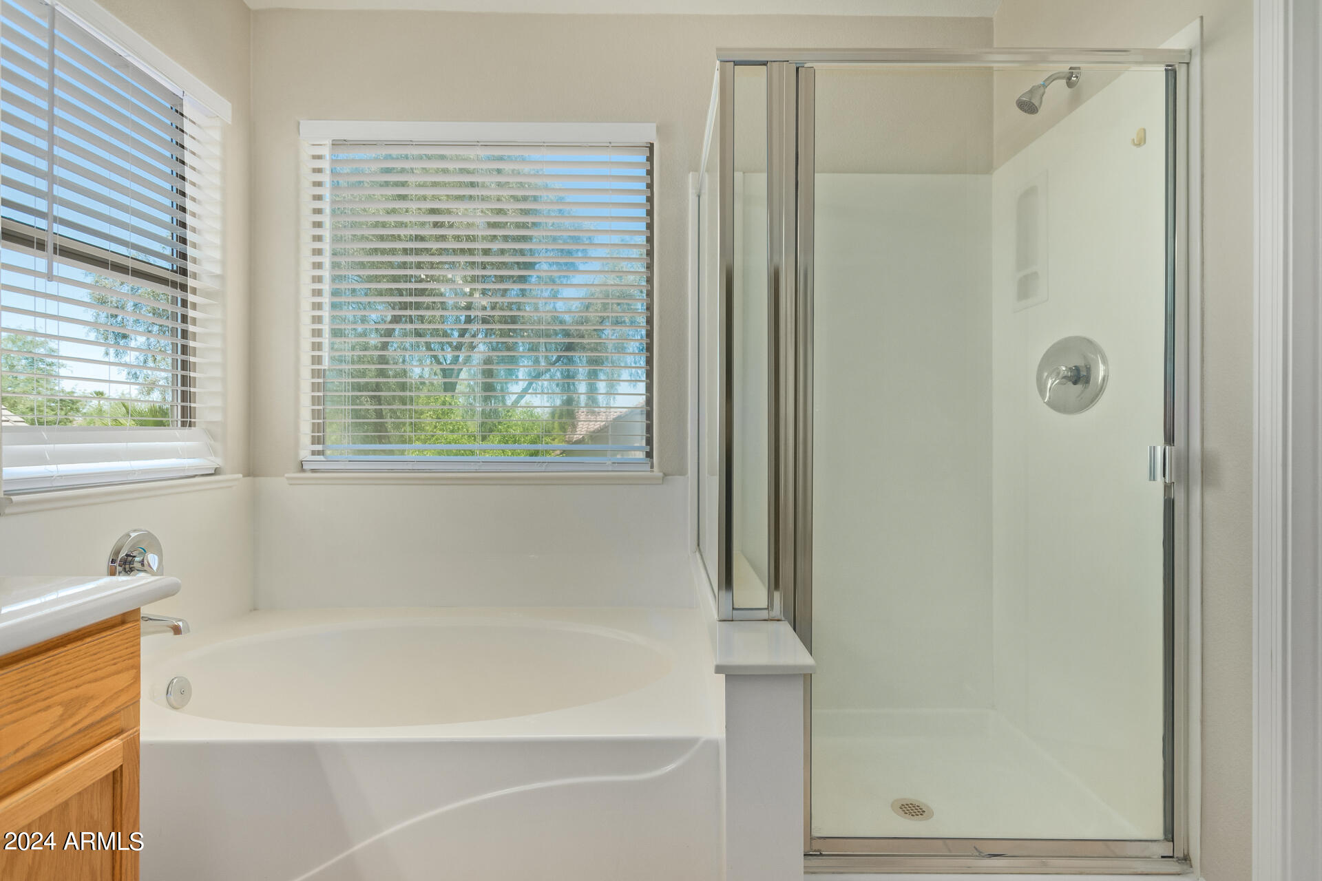 4086 East Rustler Way Gilbert, AZ 85297 - Photo 22 of 48 PRIMARY BATH