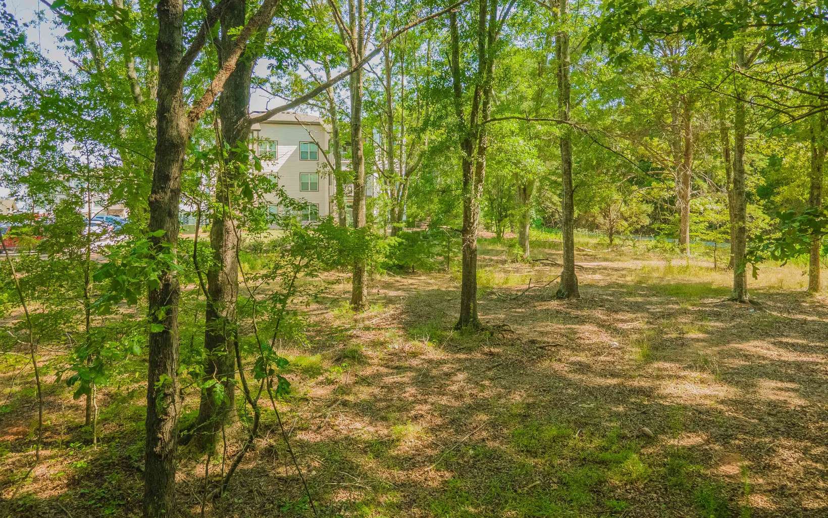 5337 Thompson Mill Road Hoschton, GA 30548 - Photo 4 of 4 Additional View
