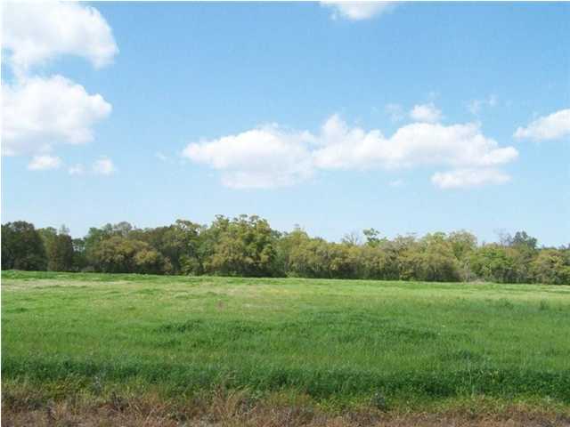 17 Troy Road New Iberia, LA 70563 - Photo 1 of 1 Primary Photo