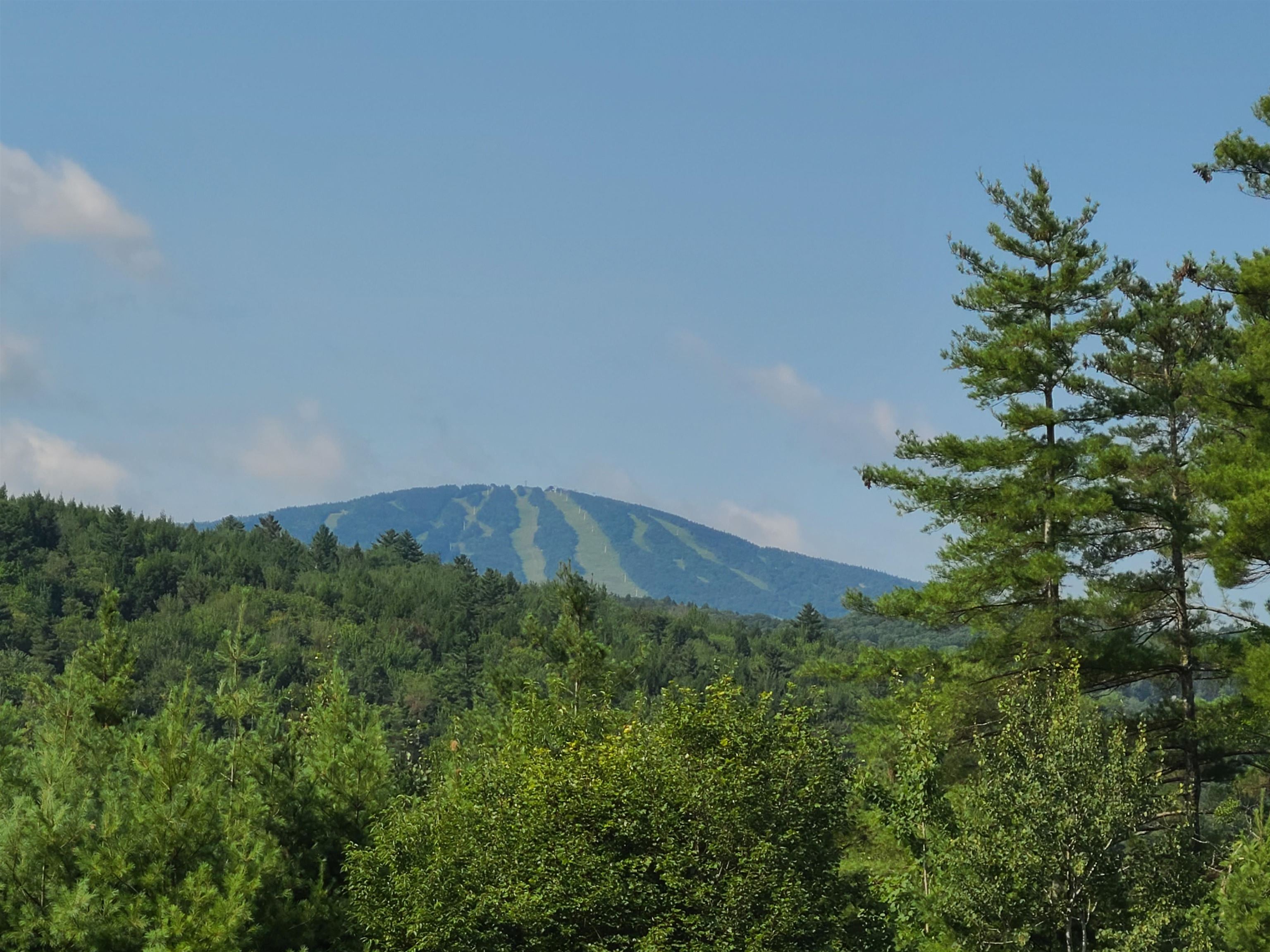 10 Little York Road Winhall, VT 05340 - Photo 28 of 37