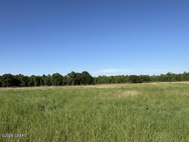 0 Galloway Road Graceville, FL 32440 - Photo 6 of 12