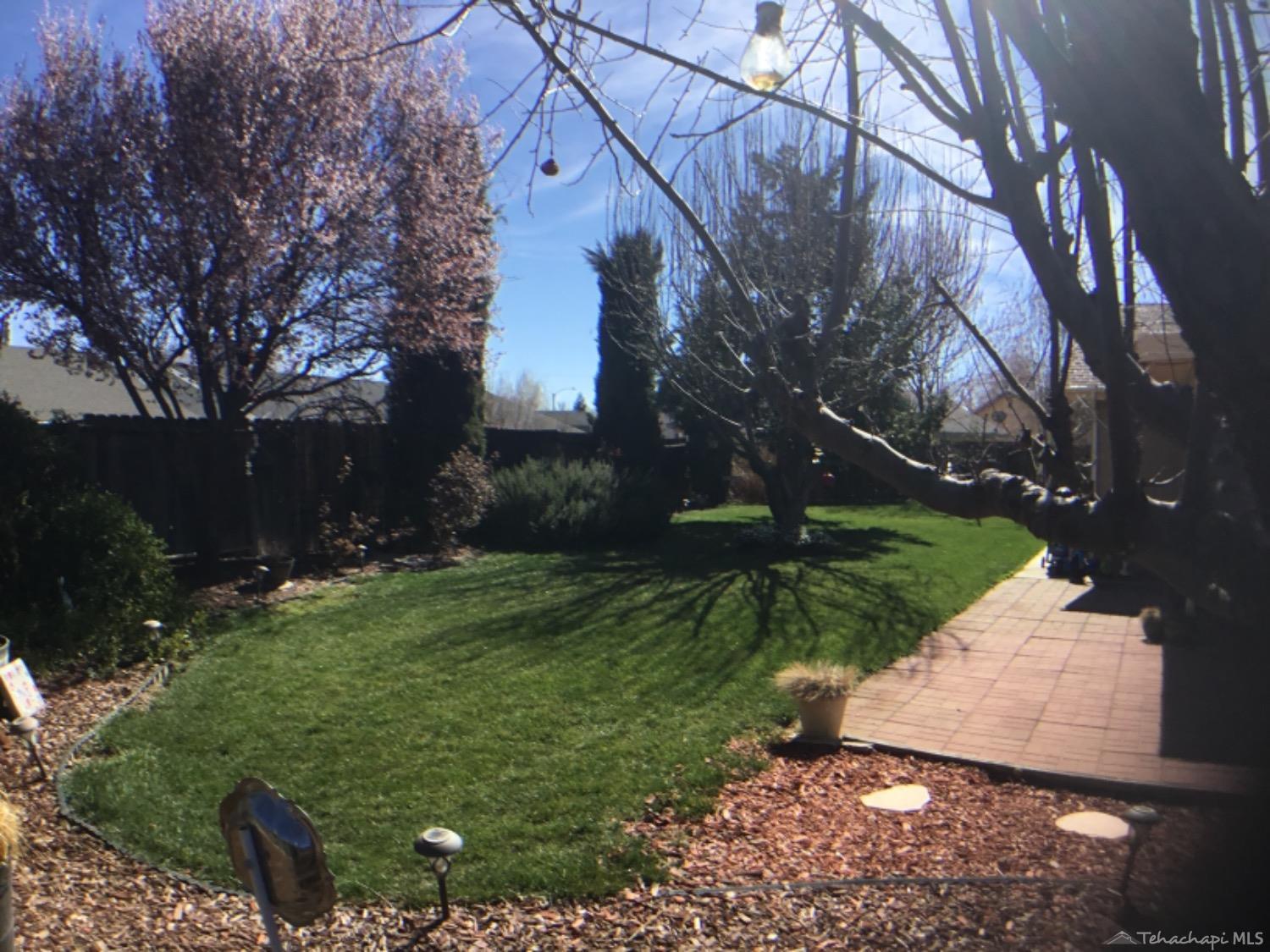 449 Apple Way Tehachapi, CA 93561 - Photo 20 of 26 back yard 2
